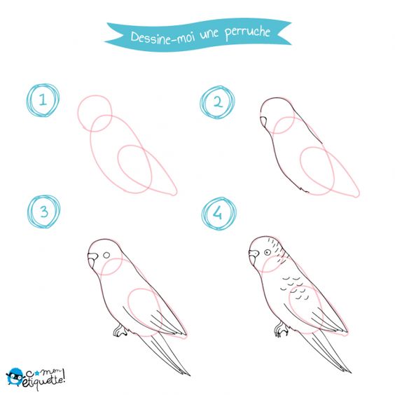 59 tutos pour apprendre à dessiner des animaux 21 59 tutos pour apprendre à dessiner des animaux 20