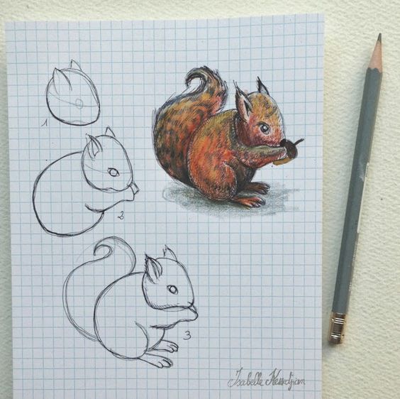59 tutos pour apprendre à dessiner des animaux 19 59 tutos pour apprendre à dessiner des animaux 18