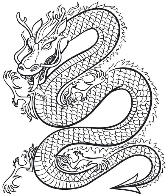 100 idées de dessins dragon : Pour apprendre à dessiner un dragon 14 100 idées de dessins dragon : Pour apprendre à dessiner un dragon 14