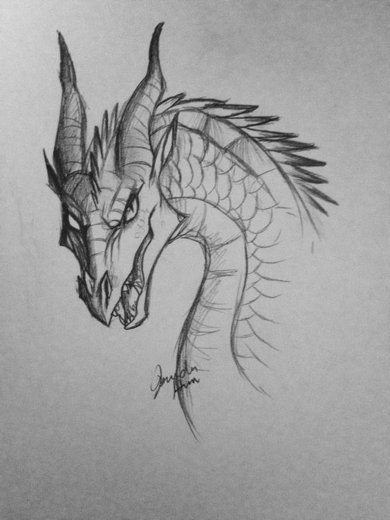 100 idées de dessins dragon : Pour apprendre à dessiner un dragon 16