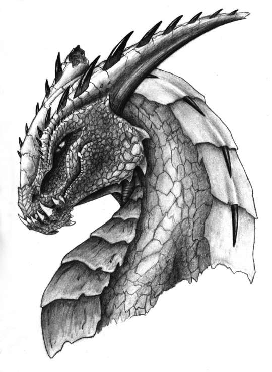 100 idées de dessins dragon : Pour apprendre à dessiner un dragon 24