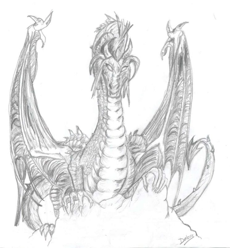 100 idées de dessins dragon : Pour apprendre à dessiner un dragon 31 100 idées de dessins dragon : Pour apprendre à dessiner un dragon 31