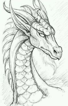 100 idées de dessins dragon : Pour apprendre à dessiner un dragon 5