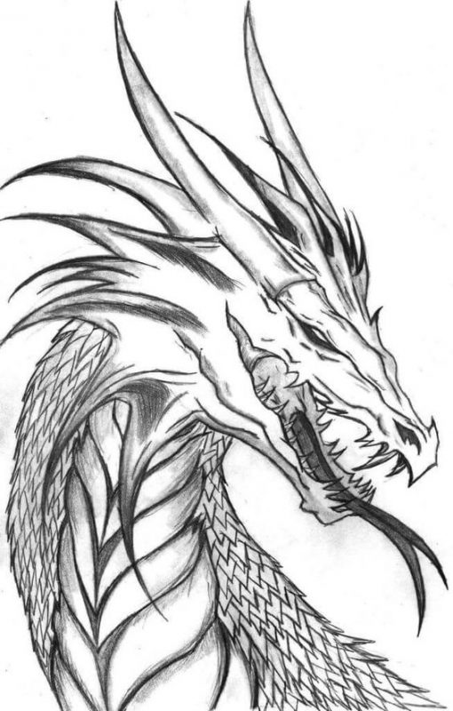 100 idées de dessins dragon : Pour apprendre à dessiner un dragon 1