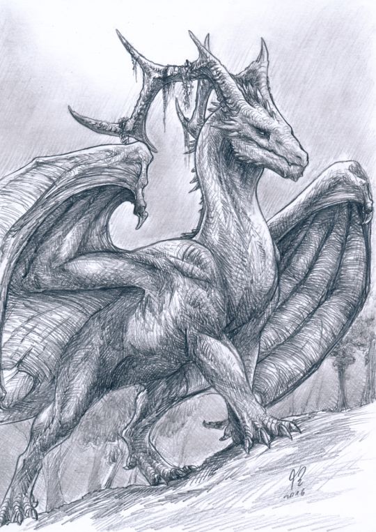 100 idées de dessins dragon : Pour apprendre à dessiner un dragon 69