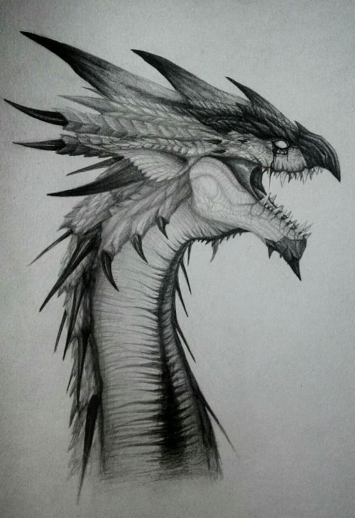 100 idées de dessins dragon : Pour apprendre à dessiner un dragon 71