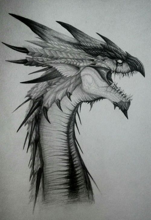 100 idées de dessins dragon : Pour apprendre à dessiner un dragon 71 100 idées de dessins dragon : Pour apprendre à dessiner un dragon 71