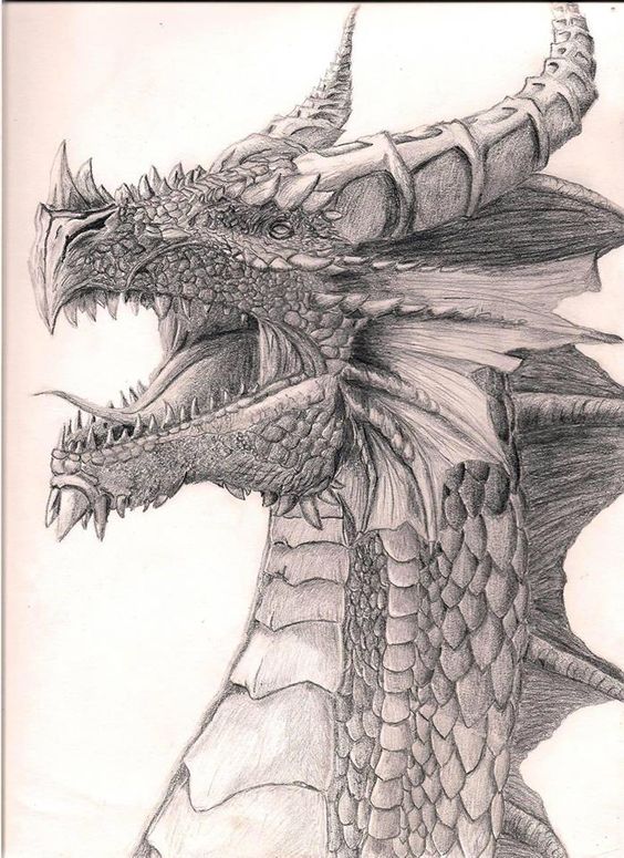 100 idées de dessins dragon : Pour apprendre à dessiner un dragon 74