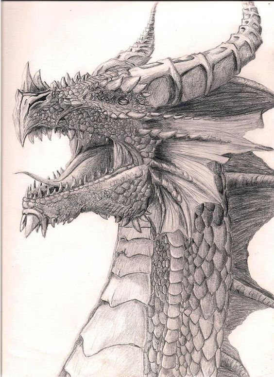 100 idées de dessins dragon : Pour apprendre à dessiner un dragon 74 100 idées de dessins dragon : Pour apprendre à dessiner un dragon 74
