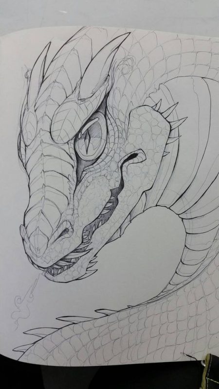 100 idées de dessins dragon : Pour apprendre à dessiner un dragon 80