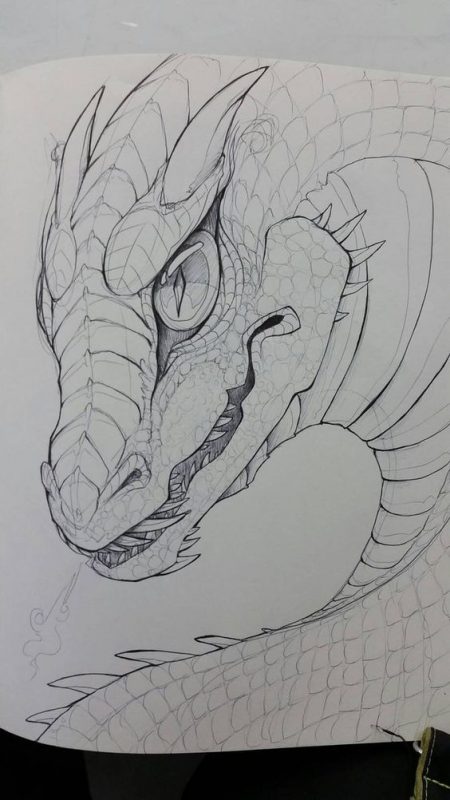 100 idées de dessins dragon : Pour apprendre à dessiner un dragon 80 100 idées de dessins dragon : Pour apprendre à dessiner un dragon 80