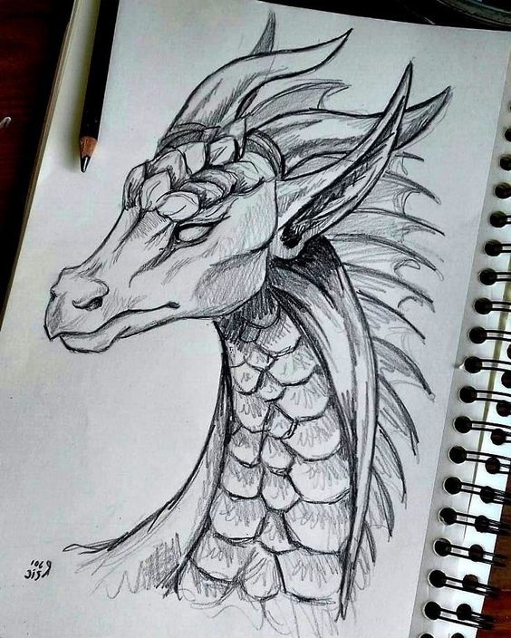 100 idées de dessins dragon : Pour apprendre à dessiner un dragon 9