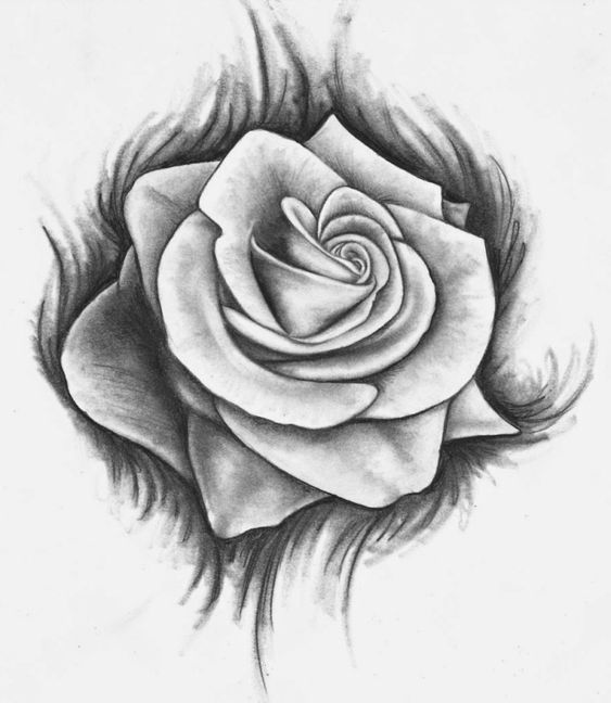 ROSE Dessin Facile 🌹au crayon  Comment dessiner une rose étape par étape  