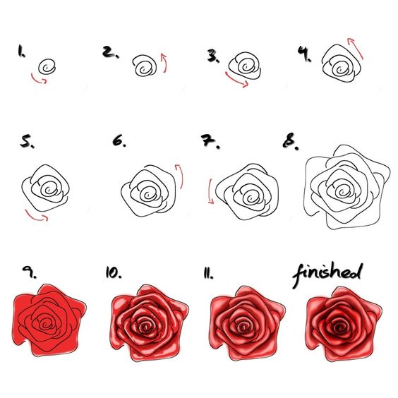 Comment Dessiner Une Rose 37 Idees Tutos Etapes Par Etapes