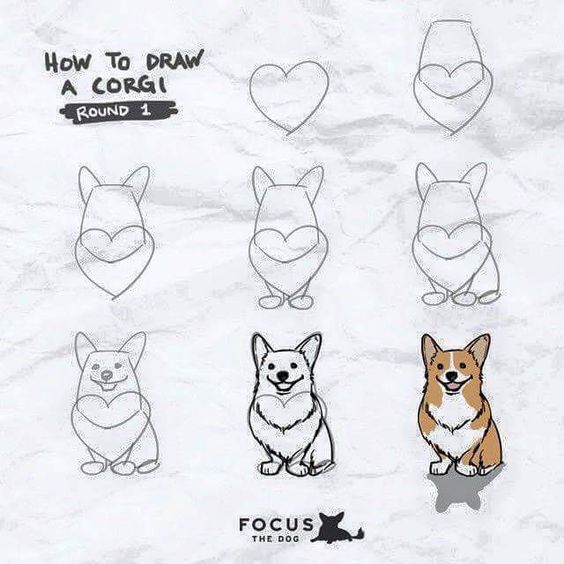 21 tutos étape par étape pour apprendre à dessiner un chien 4