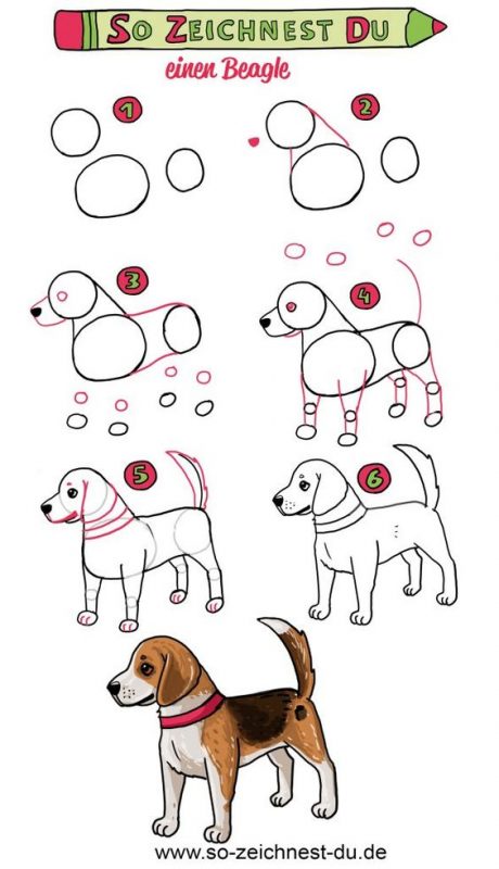 21 tutos étape par étape pour apprendre à dessiner un chien 5