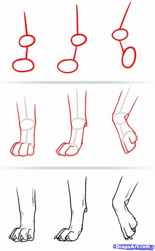 21 tutos étape par étape pour apprendre à dessiner un chien 21 21 tutos étape par étape pour apprendre à dessiner un chien 21