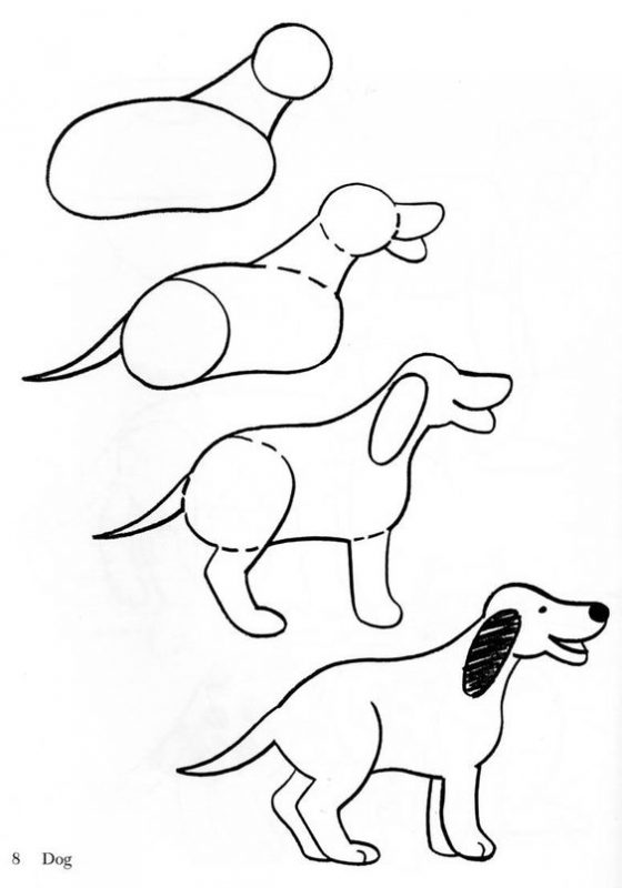 21 tutos étape par étape pour apprendre à dessiner un chien 9