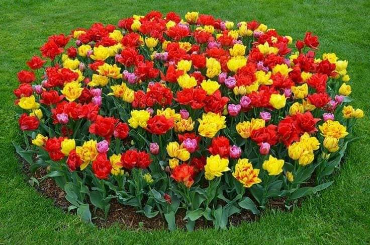100 décorations de jardin en tendance pour embellir les jardins 52 100 décorations de jardin en tendance pour embellir les jardins 52