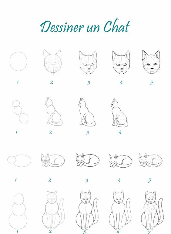 29 Tutos Dessins Chat Pour Savoir Comment Dessiner Un Chat Facilement