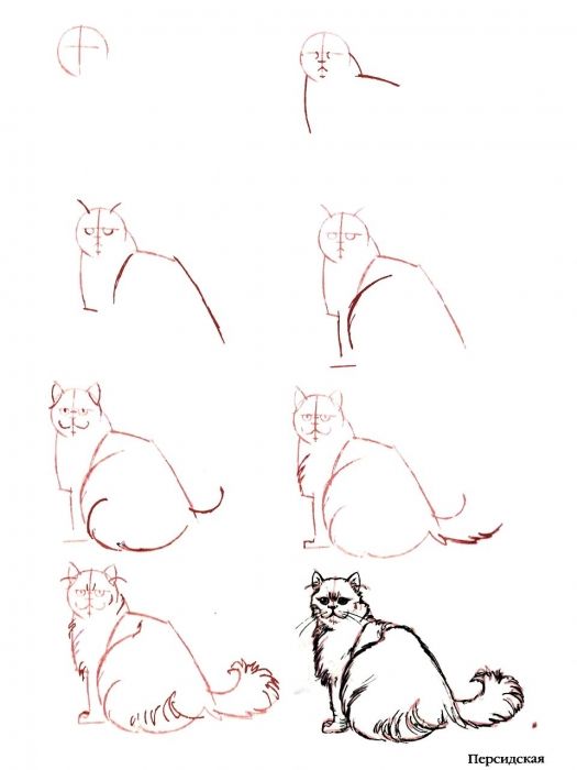 29 tutos dessins chat : pour savoir comment dessiner un chat facilement 25 29 tutos dessins chat : pour savoir comment dessiner un chat facilement 25