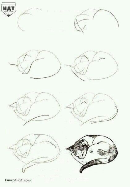 29 tutos dessins chat : pour savoir comment dessiner un chat facilement 26 29 tutos dessins chat : pour savoir comment dessiner un chat facilement 26