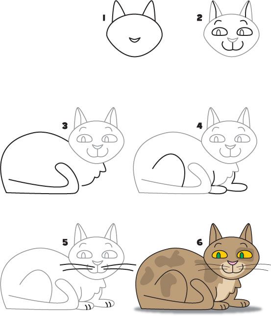 Dessin de chat facile à reproduire en 5 étapes. 