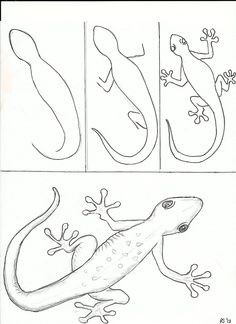 37 top idées et tutos de dessins d'animaux : pour apprendre à dessiner des animaux 2 37 top idées et tutos de dessins d'animaux : pour apprendre à dessiner des animaux 2