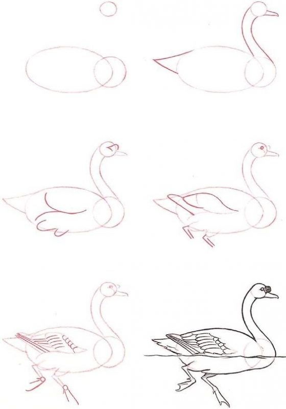 37 top idées et tutos de dessins d'animaux : pour apprendre à dessiner des animaux 12 37 top idées et tutos de dessins d'animaux : pour apprendre à dessiner des animaux 12