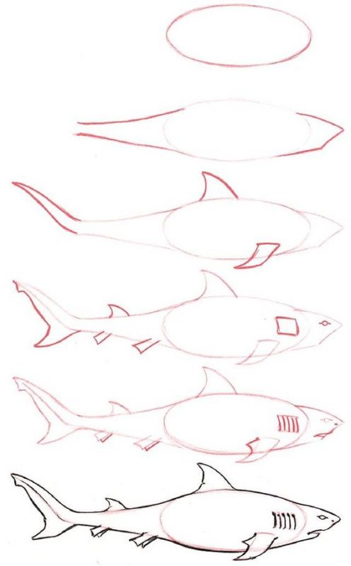 37 top idées et tutos de dessins d'animaux : pour apprendre à dessiner des animaux 15 37 top idées et tutos de dessins d'animaux : pour apprendre à dessiner des animaux 15