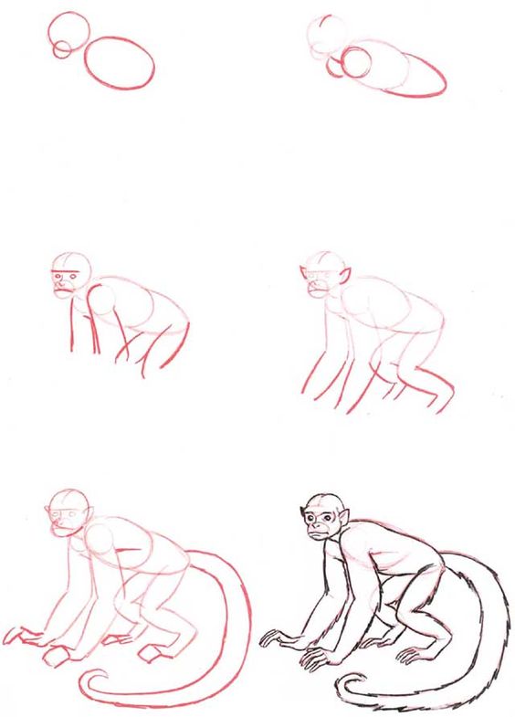 37 top idées et tutos de dessins d'animaux : pour apprendre à dessiner des animaux 18 37 top idées et tutos de dessins d'animaux : pour apprendre à dessiner des animaux 18