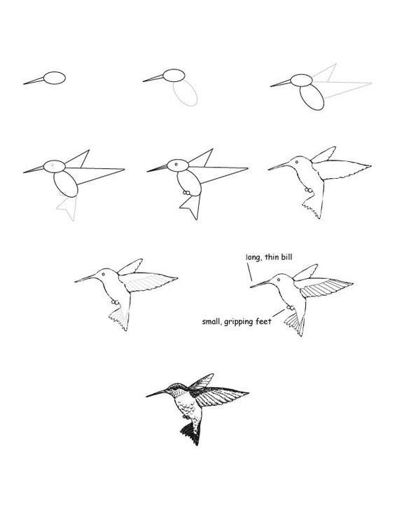 37 top idées et tutos de dessins d'animaux : pour apprendre à dessiner des animaux 3 37 top idées et tutos de dessins d'animaux : pour apprendre à dessiner des animaux 3