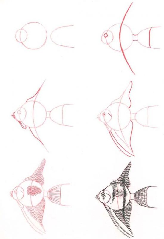 37 top idées et tutos de dessins d'animaux : pour apprendre à dessiner des animaux 22 37 top idées et tutos de dessins d'animaux : pour apprendre à dessiner des animaux 22