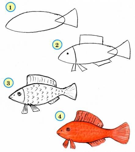 37 top idées et tutos de dessins d'animaux : pour apprendre à dessiner des animaux 23 37 top idées et tutos de dessins d'animaux : pour apprendre à dessiner des animaux 23
