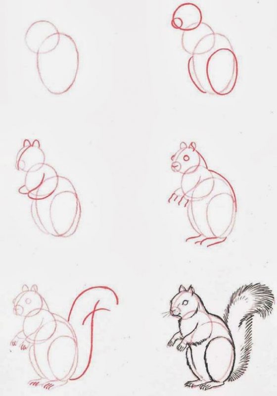 37 top idées et tutos de dessins d'animaux : pour apprendre à dessiner des animaux 25 37 top idées et tutos de dessins d'animaux : pour apprendre à dessiner des animaux 25