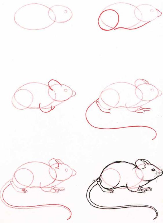 37 top idées et tutos de dessins d'animaux : pour apprendre à dessiner des animaux 26 37 top idées et tutos de dessins d'animaux : pour apprendre à dessiner des animaux 26