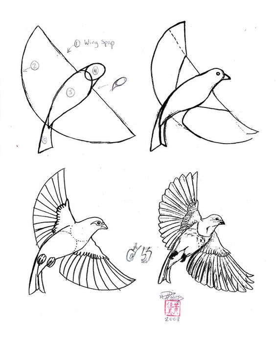 37 top idées et tutos de dessins d'animaux : pour apprendre à dessiner des animaux 29 37 top idées et tutos de dessins d'animaux : pour apprendre à dessiner des animaux 29