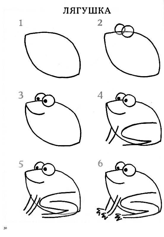37 top idées et tutos de dessins d'animaux : pour apprendre à dessiner des animaux 33 37 top idées et tutos de dessins d'animaux : pour apprendre à dessiner des animaux 33