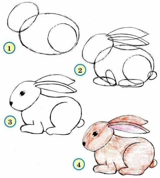 37 top idées et tutos de dessins d'animaux : pour apprendre à dessiner des animaux 37 37 top idées et tutos de dessins d'animaux : pour apprendre à dessiner des animaux 37