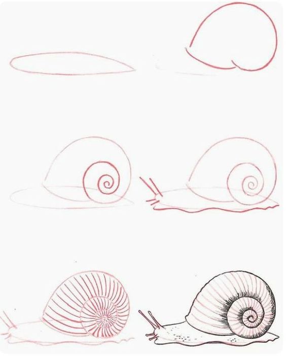 37 top idées et tutos de dessins d'animaux : pour apprendre à dessiner des animaux 5 37 top idées et tutos de dessins d'animaux : pour apprendre à dessiner des animaux 5