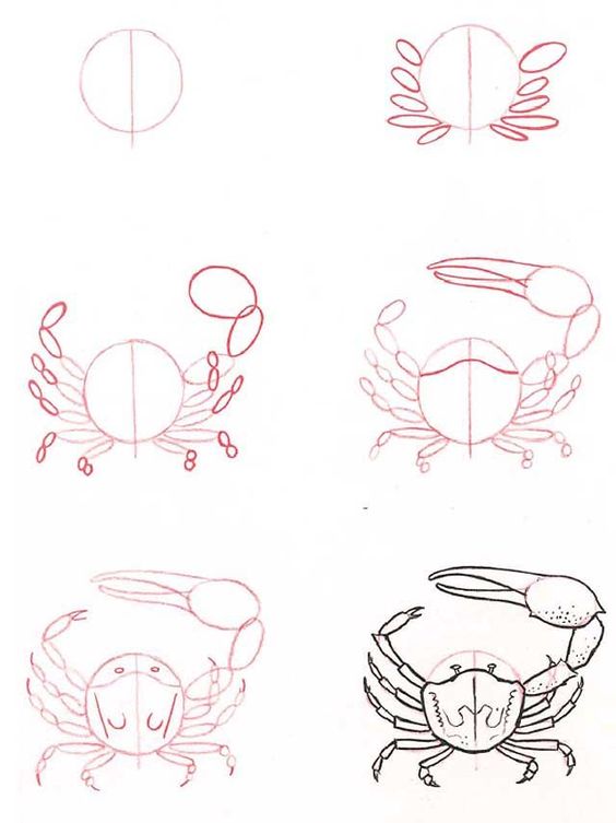 37 top idées et tutos de dessins d'animaux : pour apprendre à dessiner des animaux 9 37 top idées et tutos de dessins d'animaux : pour apprendre à dessiner des animaux 9