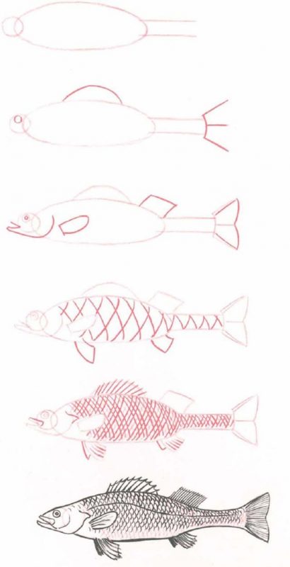 37 top idées et tutos de dessins d'animaux : pour apprendre à dessiner des animaux 10 37 top idées et tutos de dessins d'animaux : pour apprendre à dessiner des animaux 10