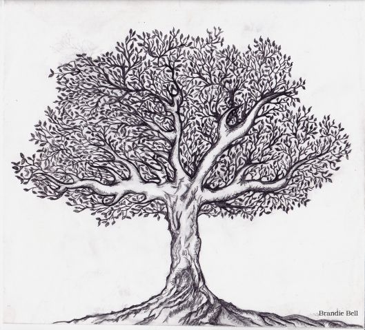33 super idées de dessins d'arbres : pour apprendre à dessiner un arbre 15 33 super idées de dessins d'arbres : pour apprendre à dessiner un arbre 15