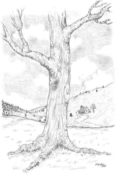 33 super idées de dessins d'arbres : pour apprendre à dessiner un arbre 22 33 super idées de dessins d'arbres : pour apprendre à dessiner un arbre 22