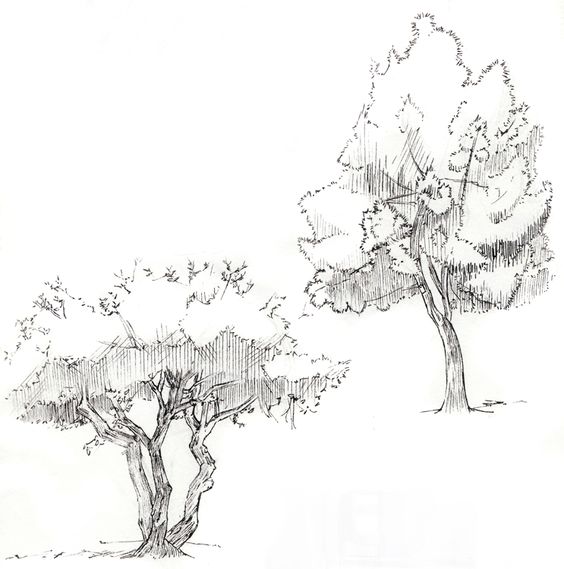 33 super idées de dessins d'arbres : pour apprendre à dessiner un arbre 25 33 super idées de dessins d'arbres : pour apprendre à dessiner un arbre 25