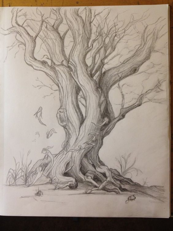 33 super idées de dessins d'arbres : pour apprendre à dessiner un arbre 29 33 super idées de dessins d'arbres : pour apprendre à dessiner un arbre 29