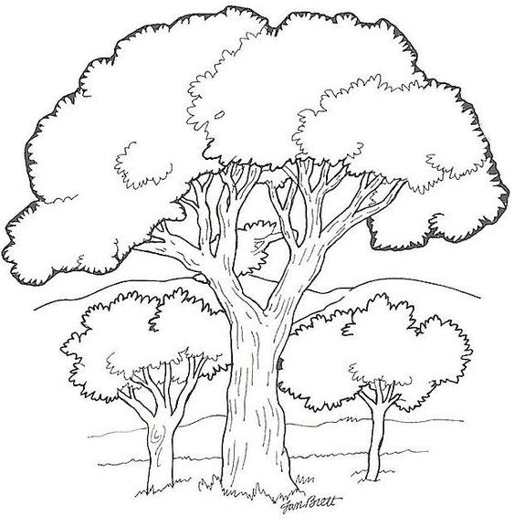 33 super idées de dessins d'arbres : pour apprendre à dessiner un arbre 6 33 super idées de dessins d'arbres : pour apprendre à dessiner un arbre 6