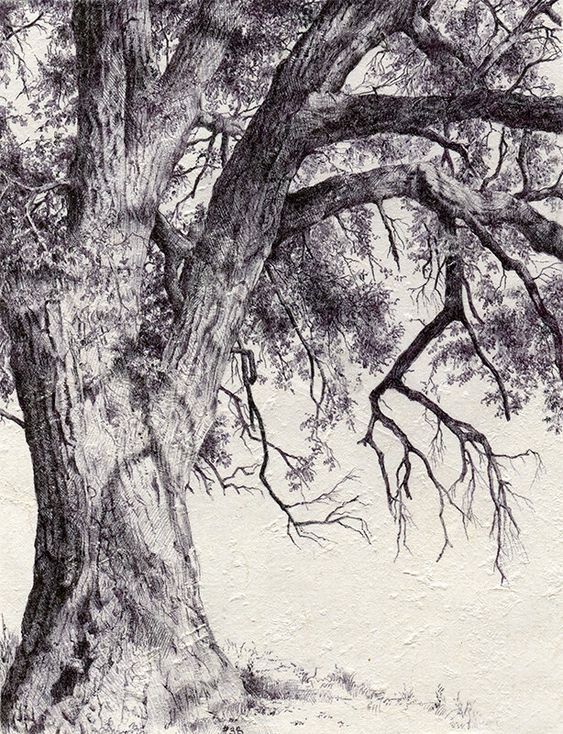 33 super idées de dessins d'arbres : pour apprendre à dessiner un arbre 7 33 super idées de dessins d'arbres : pour apprendre à dessiner un arbre 7