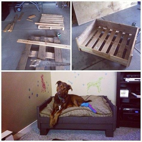 75 top idées de lits pour chiens à faire soi-même 8 75 top idées de lits pour chiens à faire soi-même 8