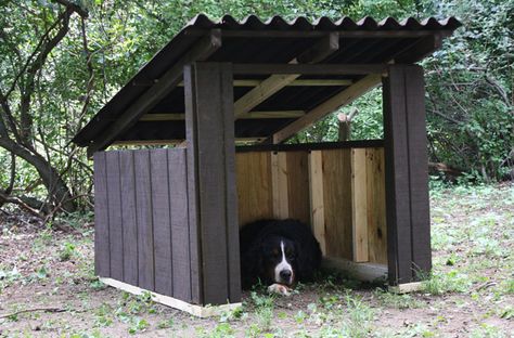 75 top idées de lits pour chiens à faire soi-même 18 75 top idées de lits pour chiens à faire soi-même 18